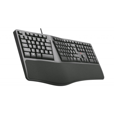 Klávesnice C-TECH KB-113E USB, ERGO,  černá, CZ/SK